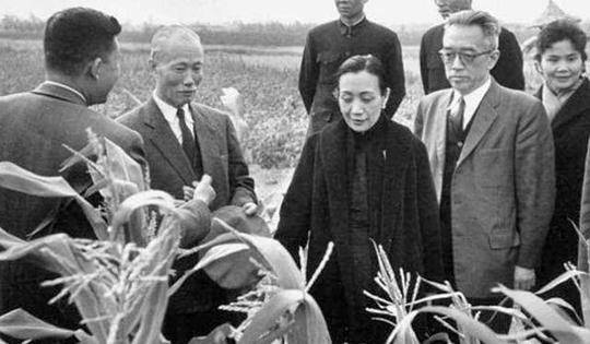 陈诚六个子女出四个博士，长孙出家遁入空门，孙女成为武侠小说家