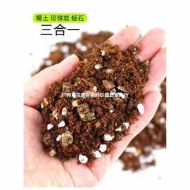乌龟过冬窝恒温乌龟过冬装备箱冬眠用品椰土沙子爬宠垫材保温。