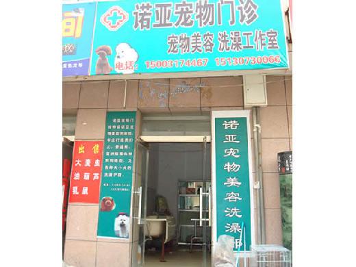 茜茜宠物诊所创业图片展示