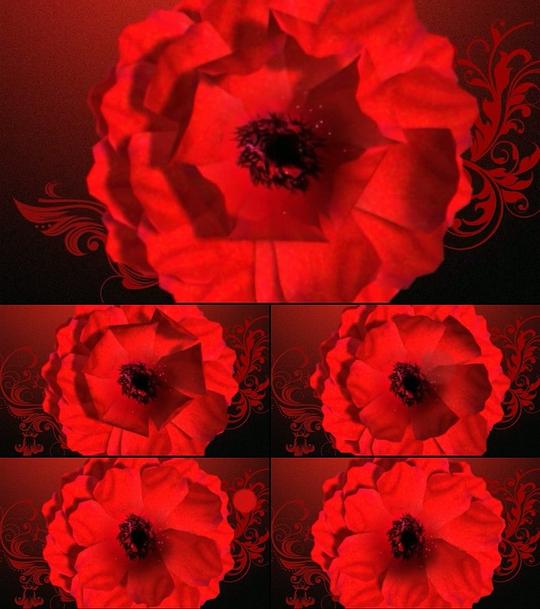 【】高清动态玫瑰花开led视频背景素材