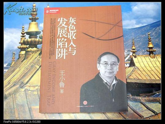 灰色收入与发展陷阱