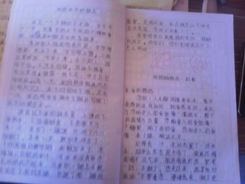 语文学习与人生作文800字