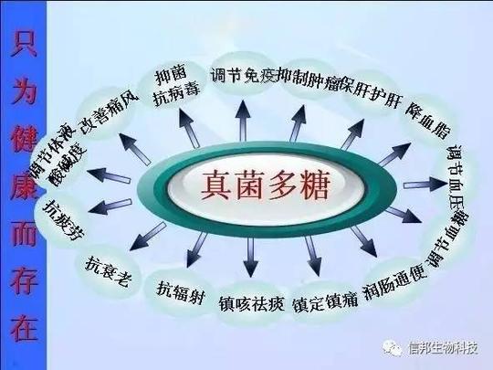 浅谈真菌多糖