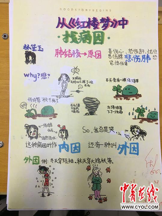 史家小学学生《红楼梦》读后感作品.