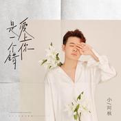 爱上你是一个错(小阿枫)