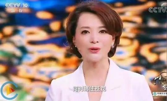 董卿在《中国诗词大会》的开场白完整版,教科书般的作文素材!