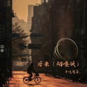 后来(半吨兄弟)