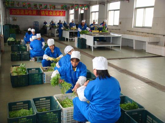 龙岗蔬菜配送中心满足客户的要求超越客户的期望