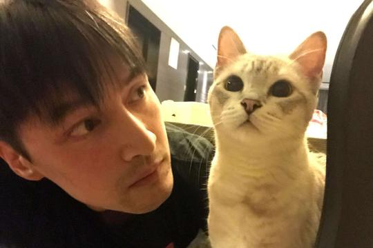 胡歌深夜晒自家猫咪合照,网友:快8年了,你怎么还单着