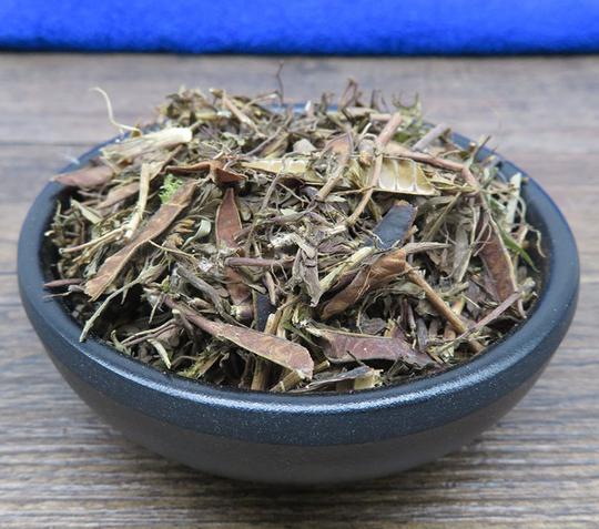 桥东虫参哪里能买到照单配药