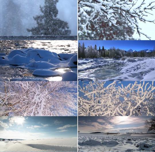 下雪积雪冰雪消融季节变换视频素材冬天冬季唯美雪景雪松