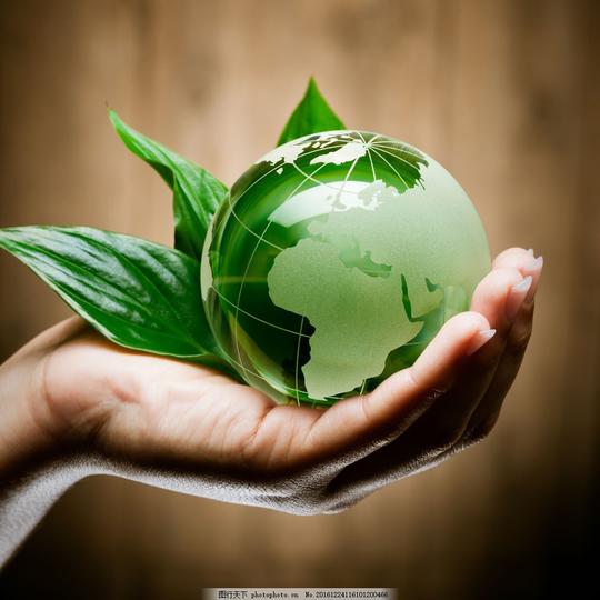 手捧着的地球树叶手捧着的地球树叶图片素材绿叶生态环保绿色环保