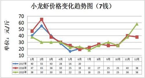 下半年行情上涨你的第二茬龙虾准备如何赚钱