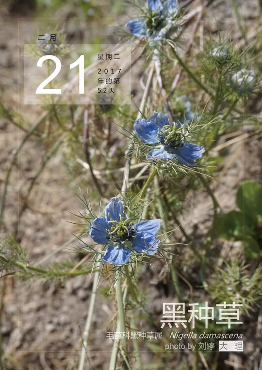 2017,红橙黄绿青蓝紫