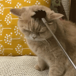 撸专用动态图搞笑表情包