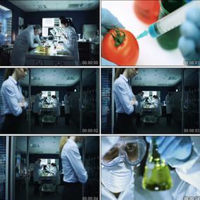 lc医疗教育科技研发食品安全化验生物实验室实拍视频素材