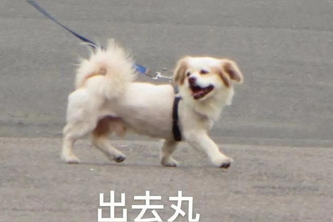 深圳龙华十大必玩景点？