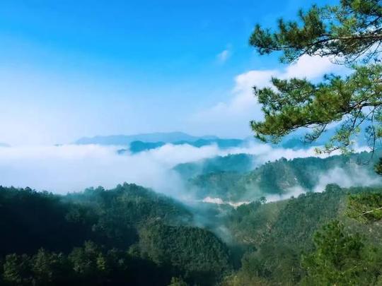 体验火遍抖音的高空秋千