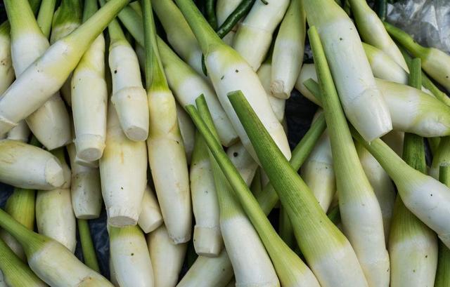 江南传统名菜视频