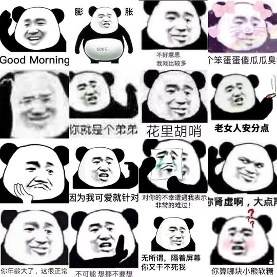 沙雕熊猫头日常实用斗图怼人恶搞魔性动态图片素材
