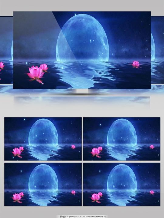 意境唯美的夜晚高清视频素材