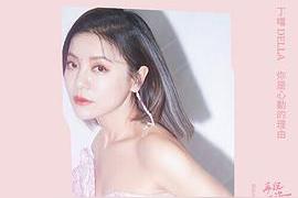 你是心动的理由(丁当)