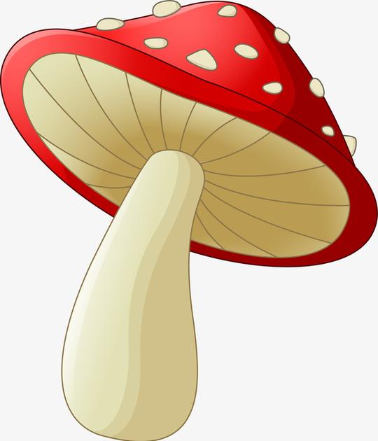 元素搜索>红色卡通蘑菇100素材分享素材信息编号:slsxfdylzm