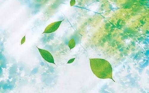 每日一歌|夏天的风