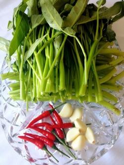 清炒空心菜的做法大全窍门