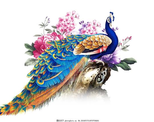 卡通彩屏孔雀png元素动物免抠元素透明素材羽毛