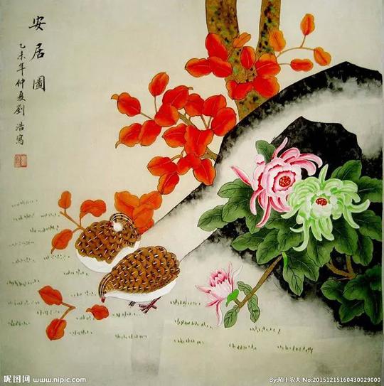 小鸡啄米图片
