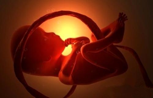 试管婴儿移植后吃什么胚胎容易着床呢