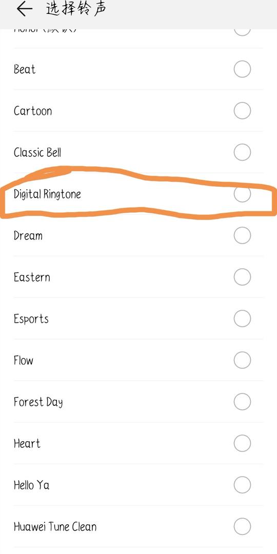 谁有digitalringtone的铃声