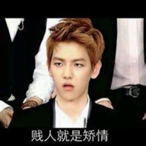 贱人就是矫情表情包华妃