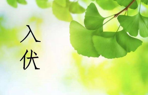 三伏天每天都可以艾灸吗