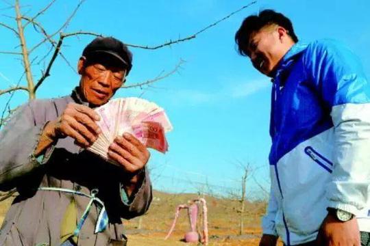 农村创业怪事,投资小的农场反而在赚钱,投资大的却亏的叫苦连连