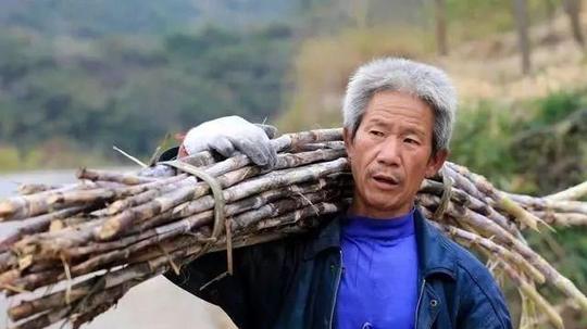 农村三大赚钱行业,三大亏钱行业,农民可以了解一下