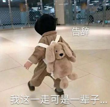 那我走我很丑吗表情包