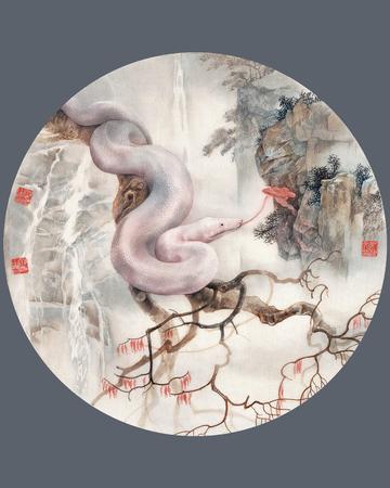 风沐雨蛇打最佳什么生肖,经典释义词语解释!