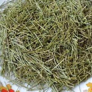 松叶茶有什么副作用 片松的功效与药用价值 茶百科 松叶茶有什么副作用 片松的功效与药用价值 茶百科