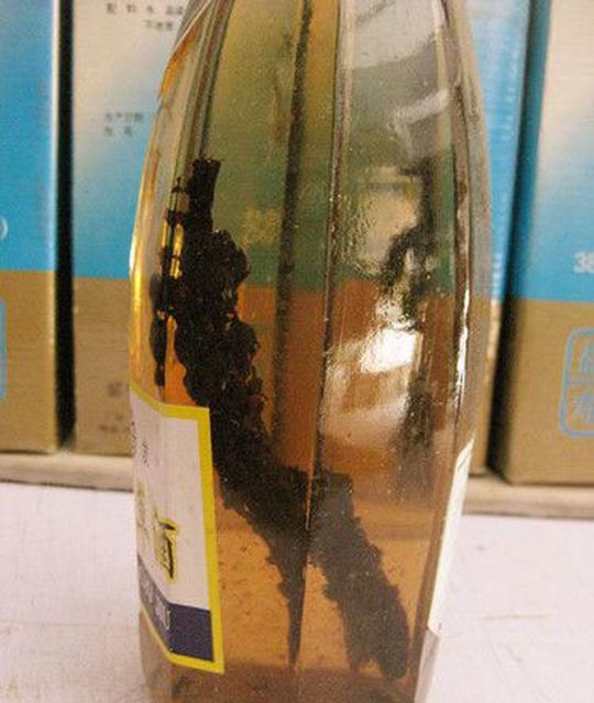 野生不老草正品不老草茶肉苁蓉山苞米泡酒列当草苁茸1斤约40条