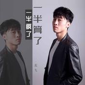 一半疯了一半算了(龙飞)