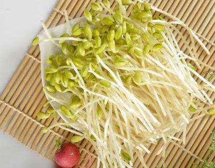 尿黄多吃什么食物好
