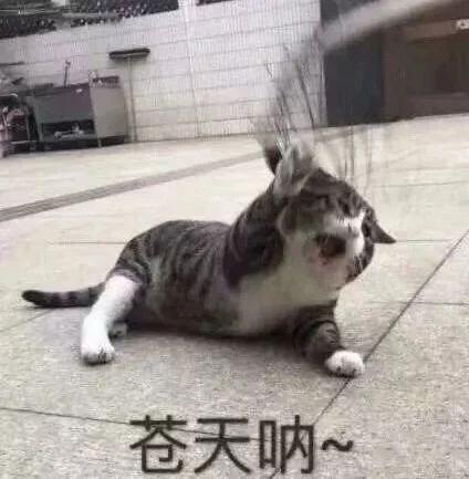 哈哈哈灵魂深处的呐喊!萌娃被作业虐哭,崩溃咆哮:哪里