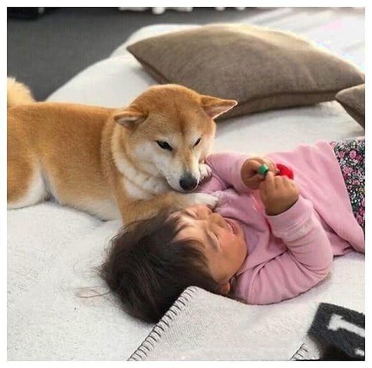 宝宝爱粘着妈妈怎么办