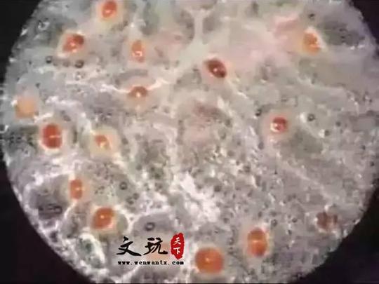 这就是俗话所说的:金絮其外,败絮其中!
