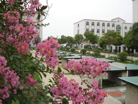 复兴实验中学