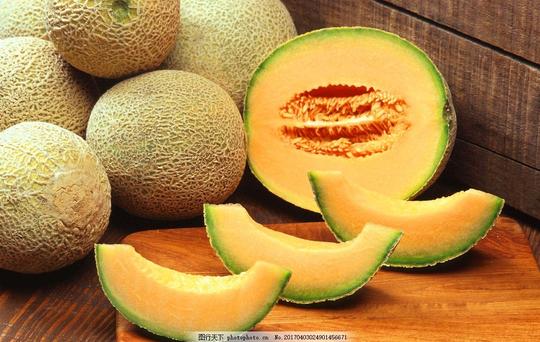 农业农场种植瓜果瓜果种植哈密瓜素材摄影生物世界水果72