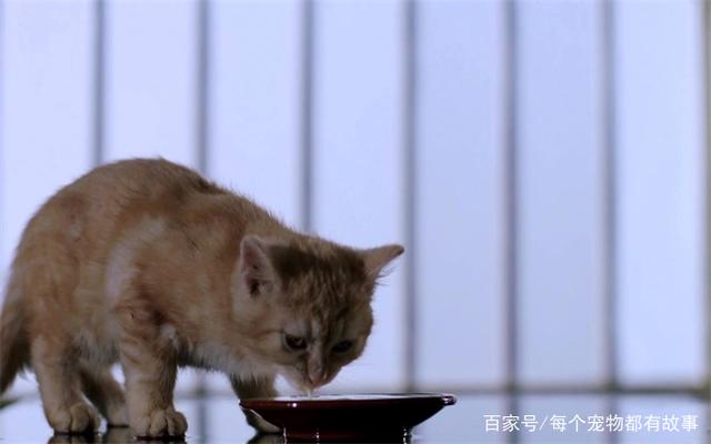 宝宝舔嘴唇是要喝水吗