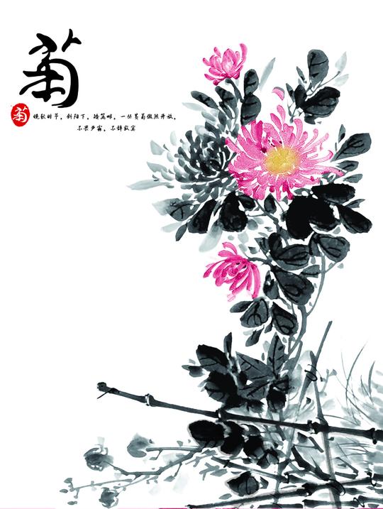 高清花鸟名画唯美菊花室内装饰图唯美菊花装饰素材高清水墨画素材